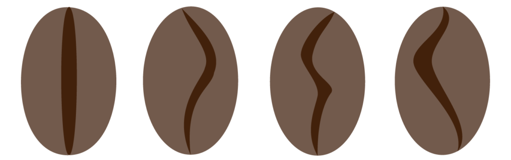 four light brown beans with variations of dark brown streaks in their centers